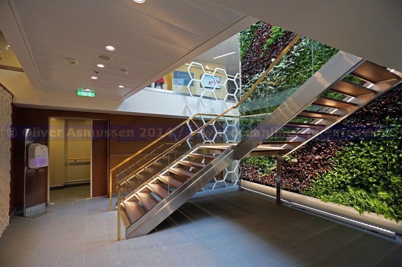 SPA & Meer Treppenaufgang mit grüner Naturwand Mein Schiff 3 SPA & Meer Treppenaufgang mit grüner Naturwand Mein Schiff 3