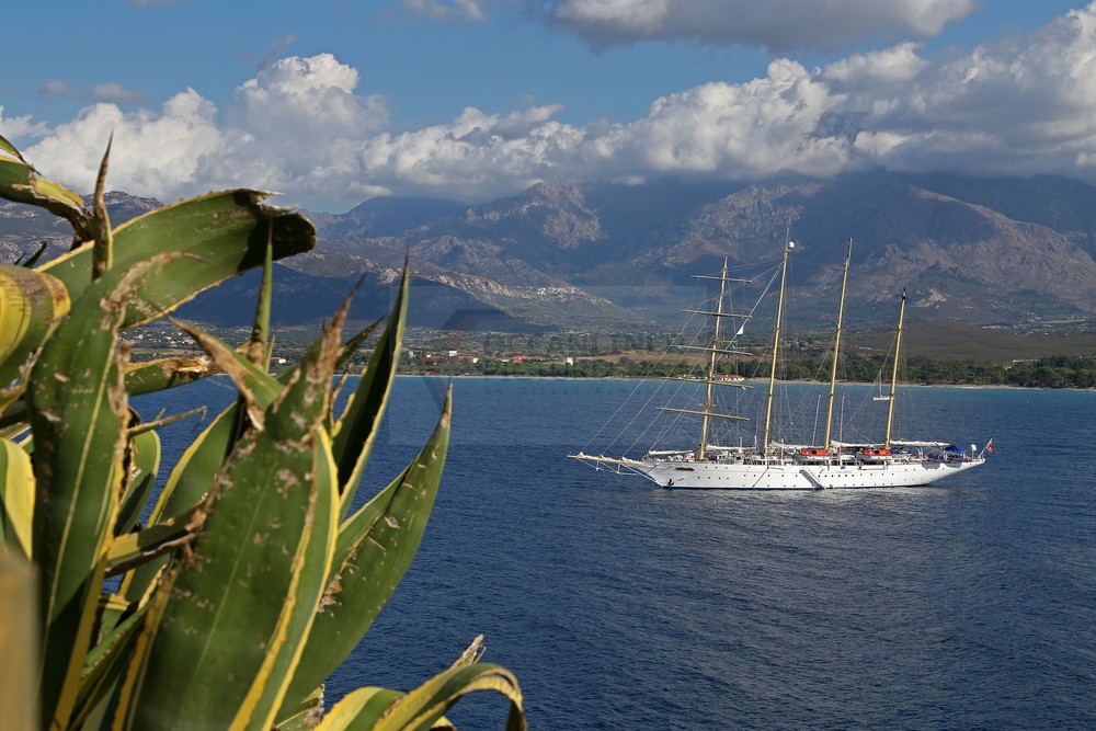 Star Flyer im Abendlicht vor Calvi