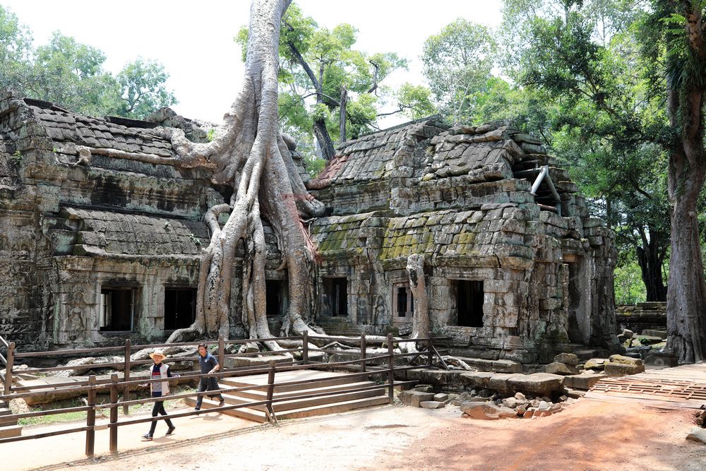 Ta Prohm Tempel, Tomb Raider Tempel, Kambodscha Ta Prohm Tempel, Tomb Raider Tempel, Kambodscha