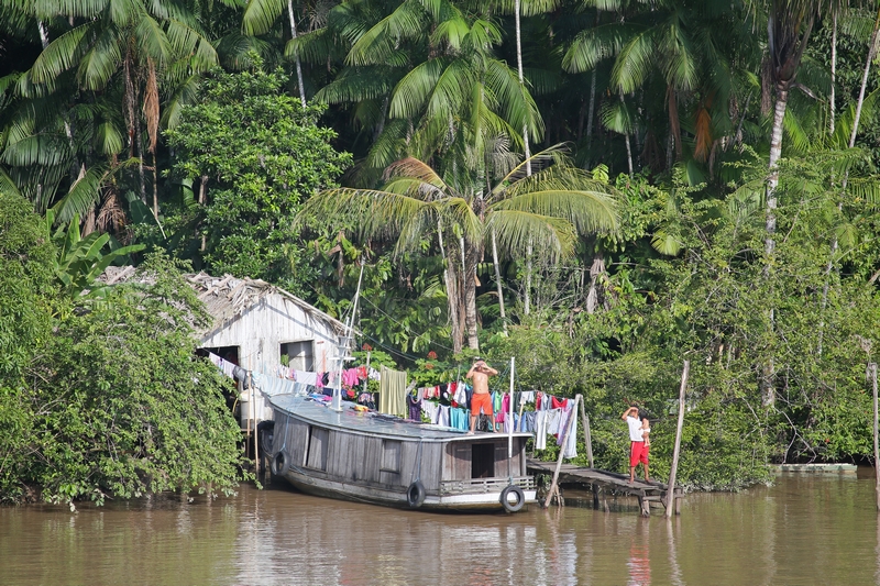 typische Haeuser am Amazonas-Delta am 16.01.2015 typische Haeuser am Amazonas-Delta am 16.01.2015