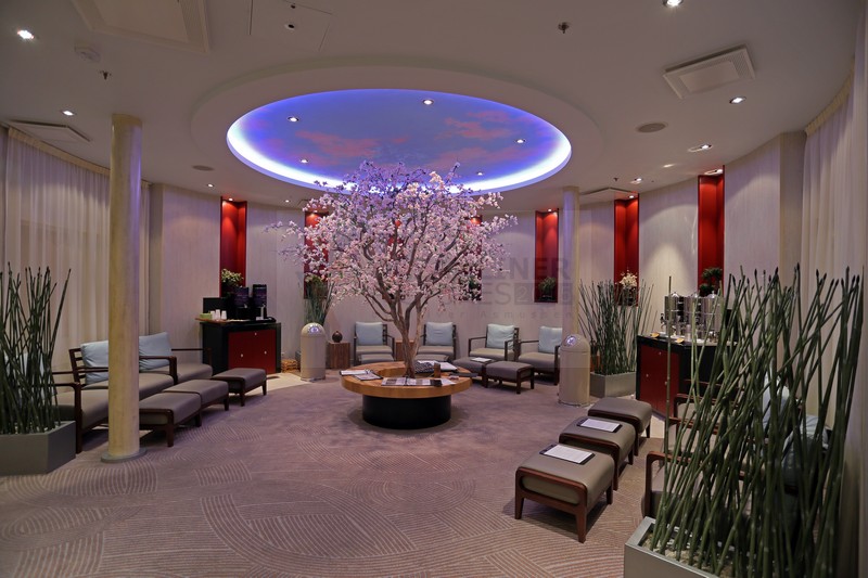 Vitality at sea Spa Allure of the Seas