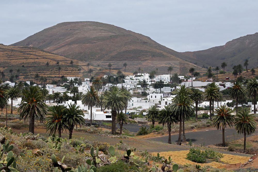 Weißes Dorf Haria im Tal der Tausend Palmen auf Lanzarote