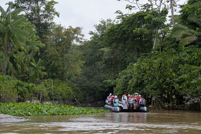 Zodiac Expedition in den Urwald am Amazonas-Delta 16.01.2015 Zodiac Expedition in den Urwald am Amazonas-Delta 16.01.2015