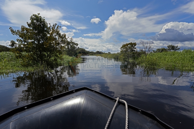 Zodiac Rundfahrt am Rand des Regenwaldes am Amazonas am 12.01.2015