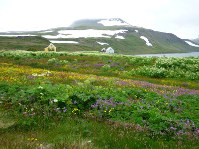 P1010916.JPG